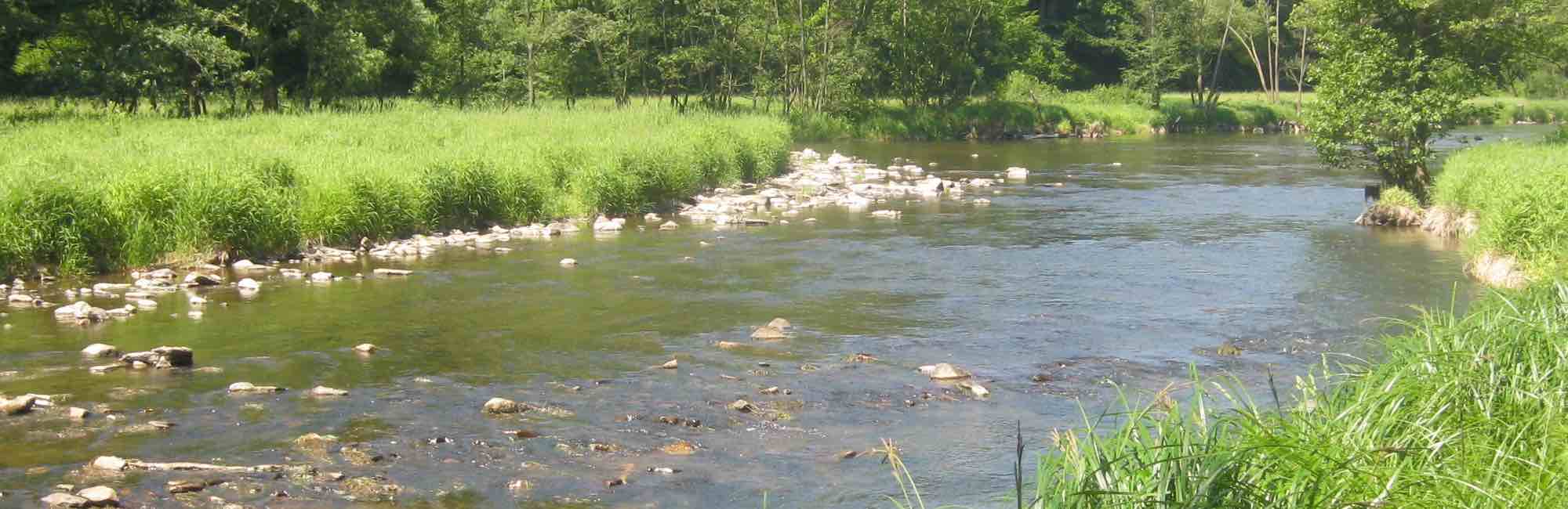 Bild von Strom